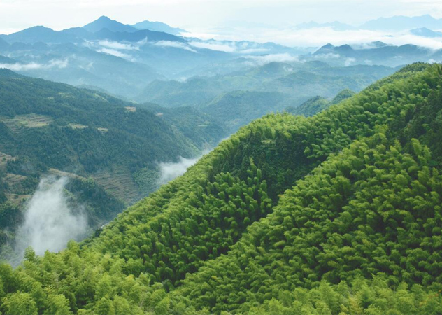 南昌专业空气废气检测哪有