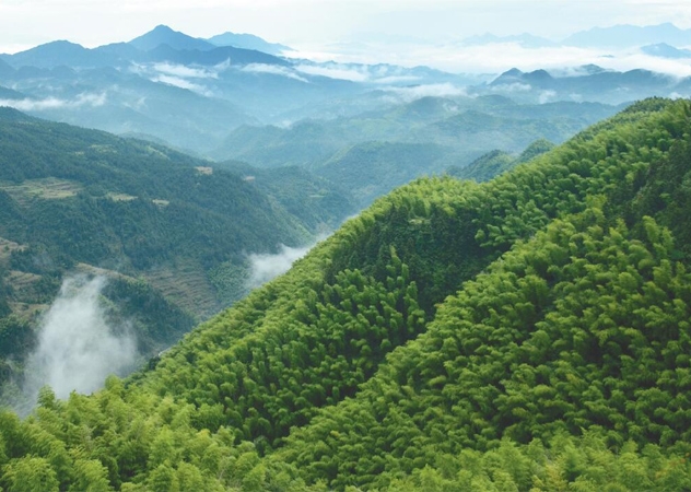 江西环境检测